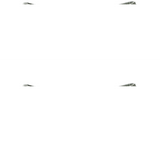 Szorty letnie San Juan – Lekkość i Komfort na Upalne Dni